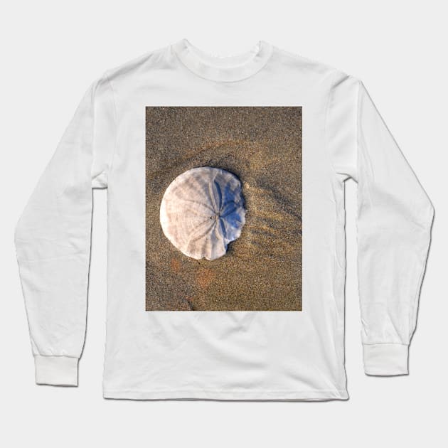 Sand Dollar in the Sand Long Sleeve T-Shirt by DeniseBruchmanPhotography